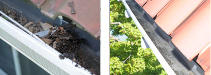 Before and After Cleaning picture