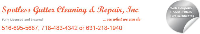 Spotless Gutter Cleaning and Repair